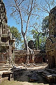 Ta Prohm temple - the south-west courtyard within the third and second enclosure